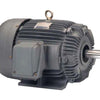 Teco EP0306 30 HP 3-Phase Motor 1175 RPM 326T TEFC 230/460V